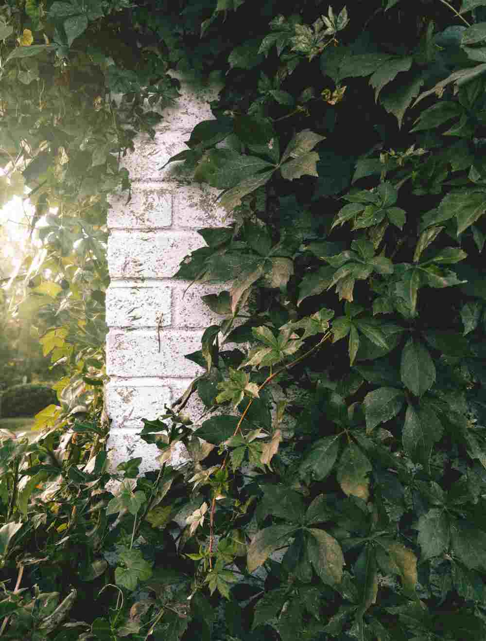 Painted brick on a building in Oklahoma City, Oklahoma
