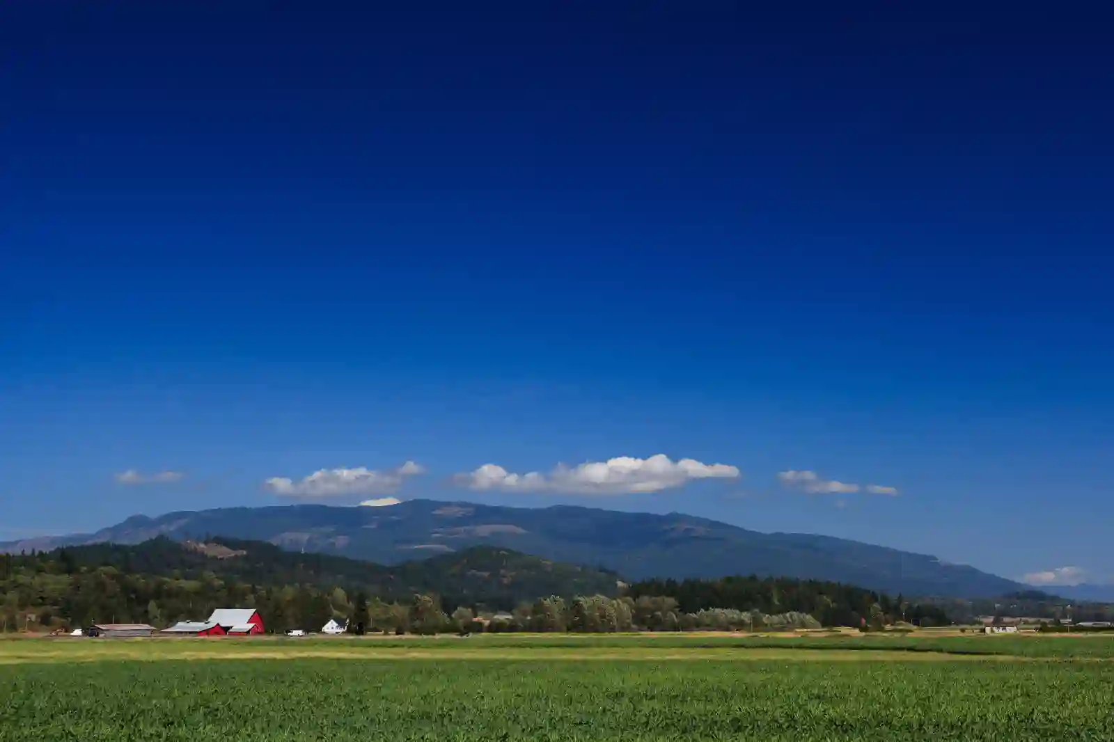 A farm in Burlington, Washington