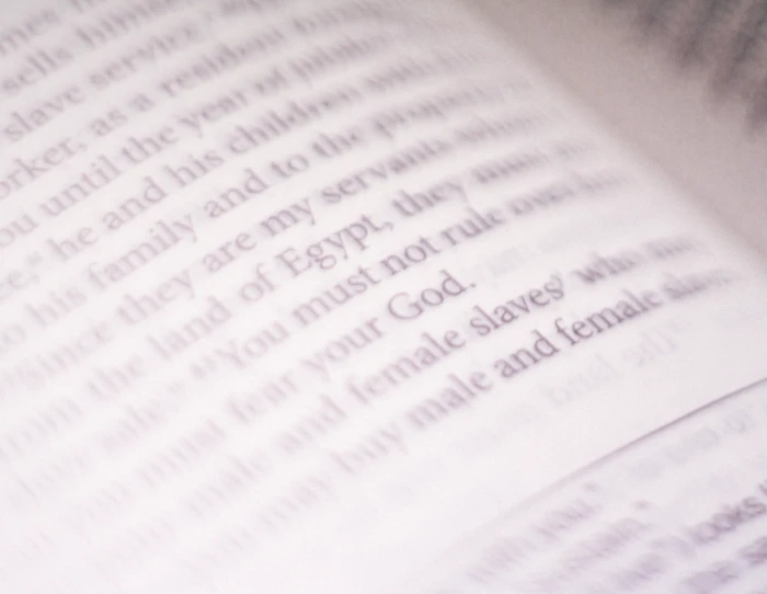 A closeup view of Leviticus 25:44